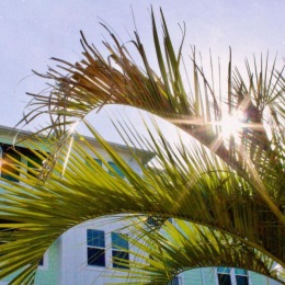 Summer Sun is right around the corner ☀️🌴 We can’t wait to enjoy all of our new amenities! . . . #newapartment #apartmentliving #myrtlebeach #myrtlebeachapartments #resortstyleliving #luxeatmarketcommon #apartmentsinsc #southcarolina #themarketcommon Instagram post from @luxeatmarketcommon on July 25, 2024 00:00:00am