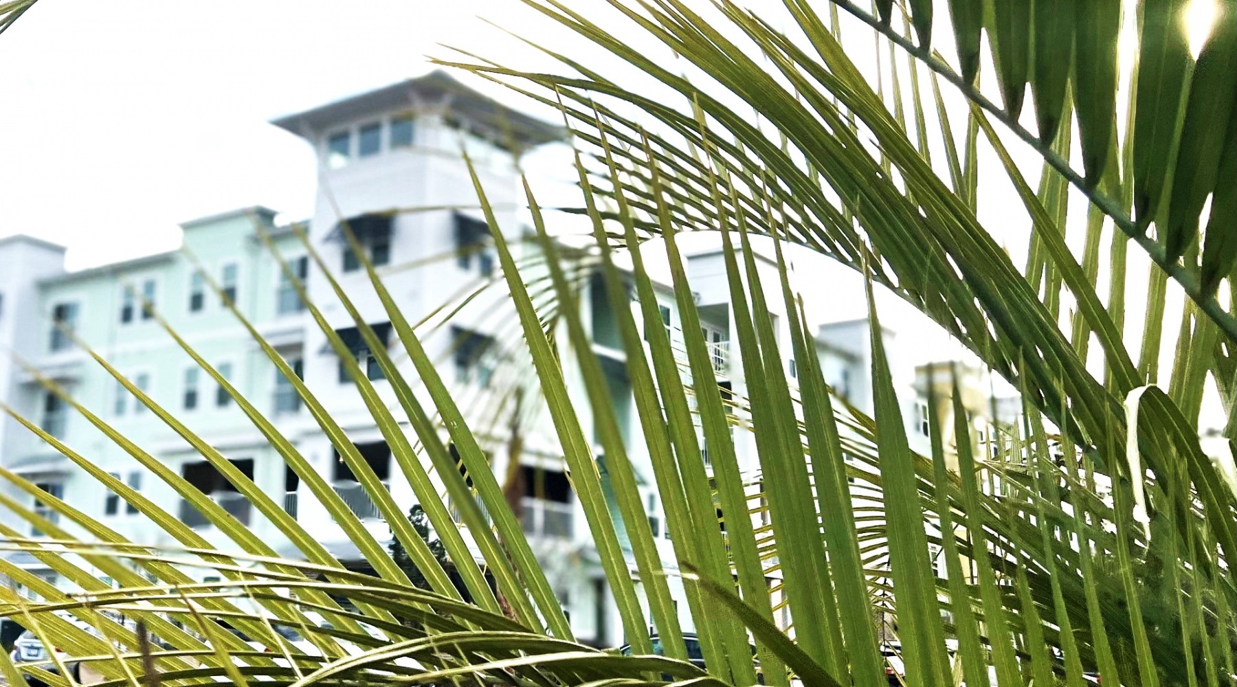 Around the Neighborhood